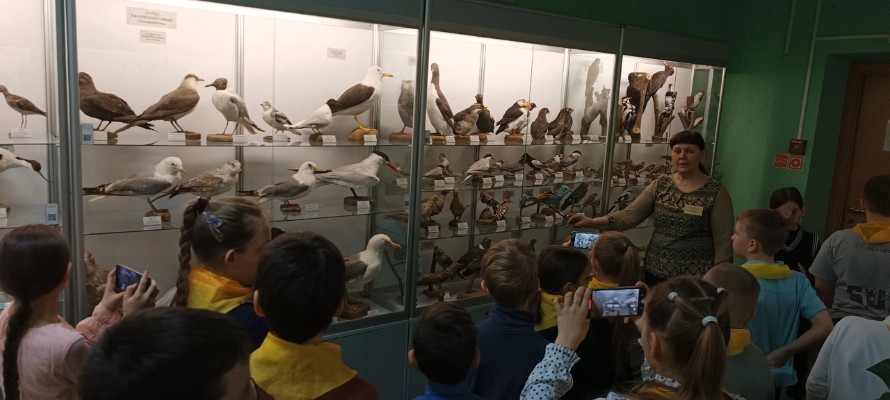 Экскурсия в Кировский городской зоологический музей.